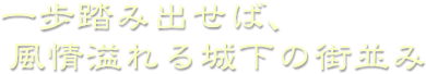 一歩踏み出せば、風情溢れる城下の街並み